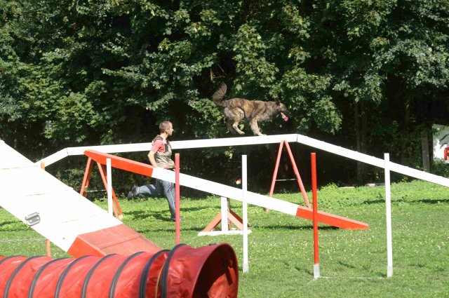 agility 2011-08